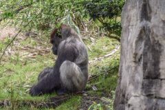 DSC_0006-scaled