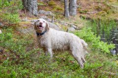 DSC_0408-scaled