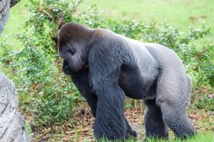 DSC_1069-scaled