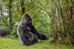 DSC_1070-scaled