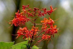 DSC_0001-scaled