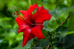 DSC_0015-scaled