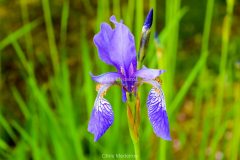 DSC_0326-scaled