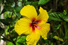 IMG_2740-scaled