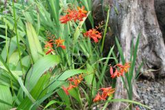 IMG_2744-scaled