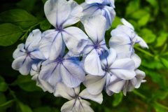 IMG_2749-scaled