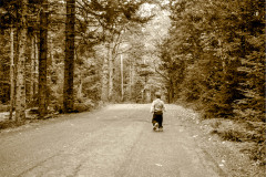 CamForest