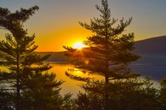 DSC_0322-scaled