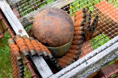 DSC_0345-scaled