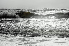 DSC_0480