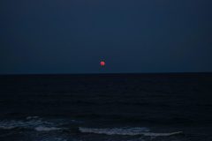 DSC_0550-scaled