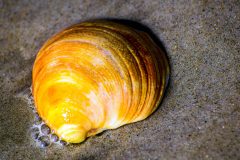 DSC_0564-scaled