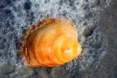 DSC_0567-scaled
