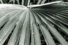 IMG_2778_1-scaled