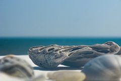IMG_5403-scaled