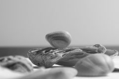 IMG_5404-scaled