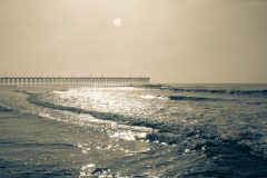 IMG_5520-scaled